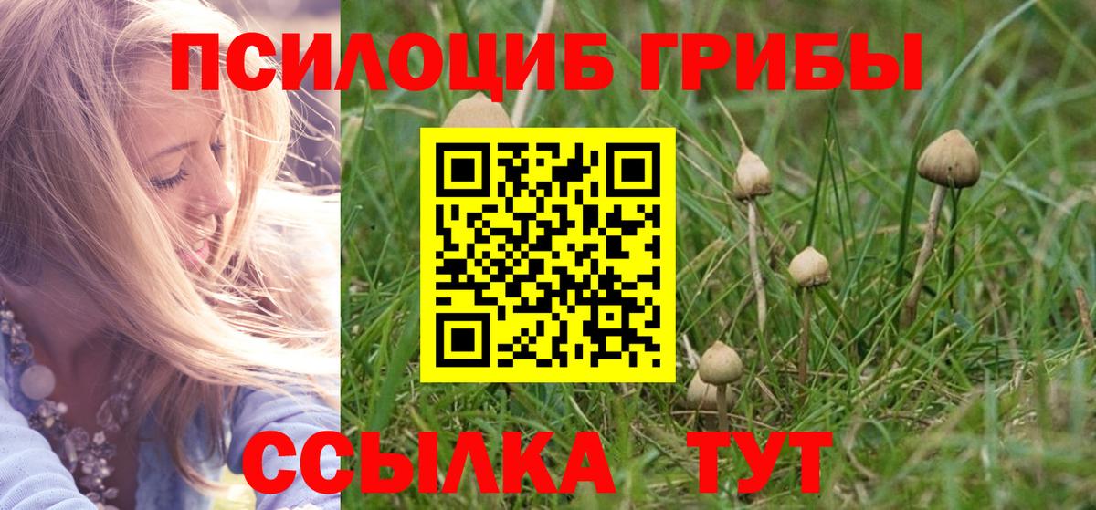 Галлюциногенные грибы Cubensis Артёмовский