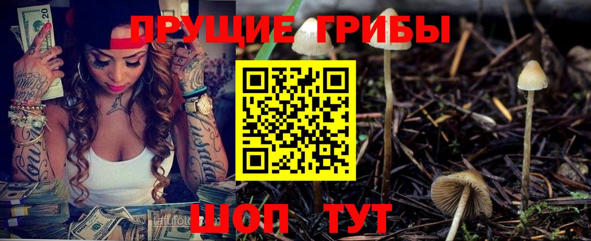 Артёмовский  Галлюциногенные грибы Cubensis  Вход с VPN 